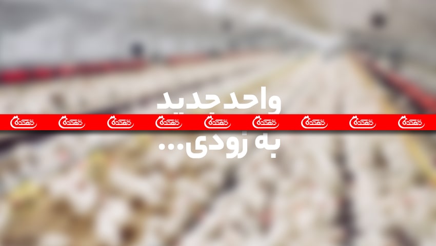 واحد جدید به زودی...