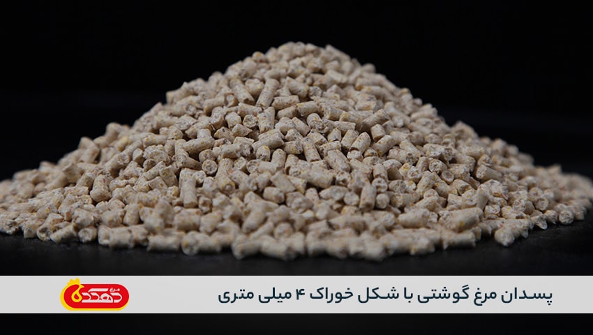 پسدان مرغ گوشتی با شکل خوراک 4 میلی متری