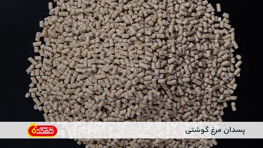 پسدان مرغ گوشتی