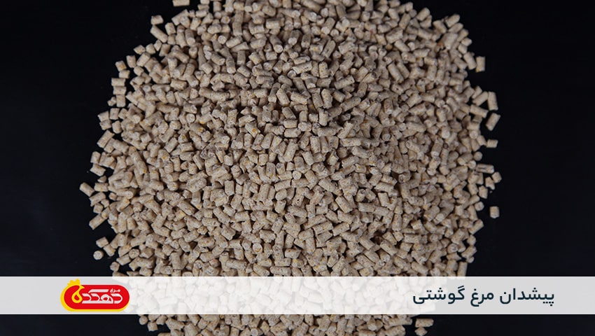 پیشدان مرغ گوشتی