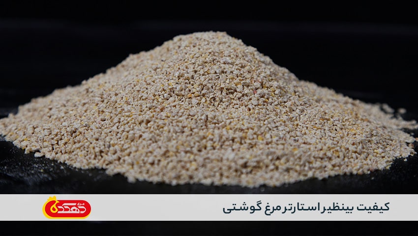 کیفیت بینظیر استارتر مرغ گوشتی