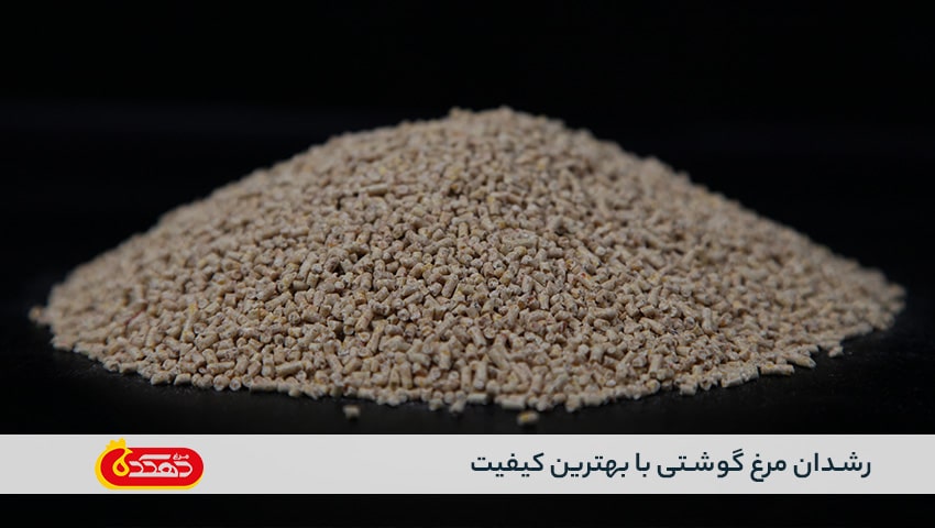 کیفیت عالی دانه های رشدان مرغ گوشتی